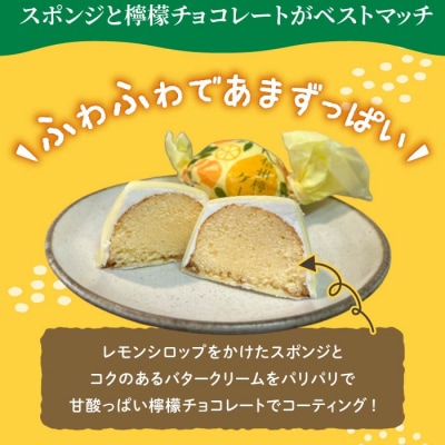御菓子処花岡 檸檬ケーキ14個