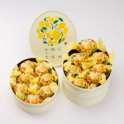 御菓子処花岡 檸檬ケーキ14個