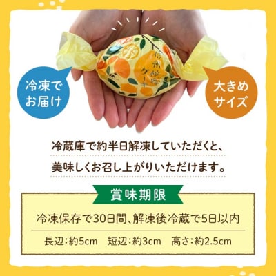 御菓子処花岡 檸檬ケーキ14個