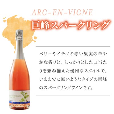【アルカンヴィーニュ】ワイン・シードル 3種セット(巨峰 スパークリング・シードル・巨峰ロゼ) 