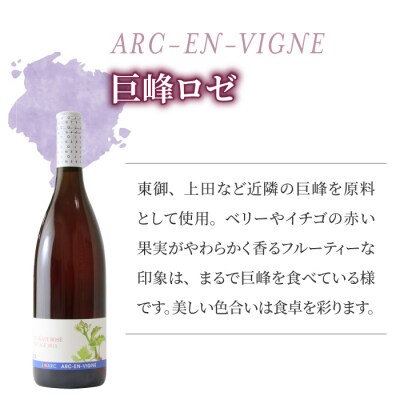 【アルカンヴィーニュ】ワイン・シードル 3種セット(巨峰 スパークリング・シードル・巨峰ロゼ) 