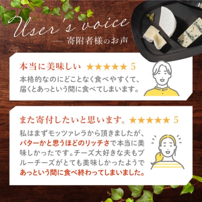 アトリエ・ド・フロマージュ4種のチーズセット カマンベール・硬質・ブルー・モッツァレラ