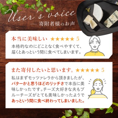 アトリエ・ド・フロマージュ4種のチーズセット カマンベール・硬質・ブルー・モッツァレラ