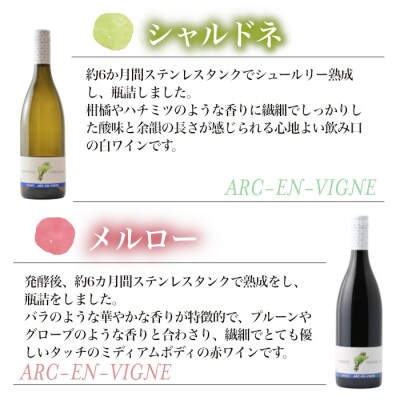 【アルカンヴィーニュ】定番ワイン 赤白2本セット (シャルドネ・メルロー) 