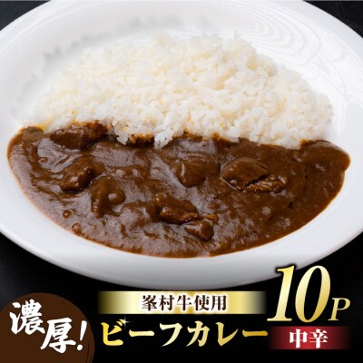 牧舎みねむら 濃厚あじわいビーフカレー 10個セット