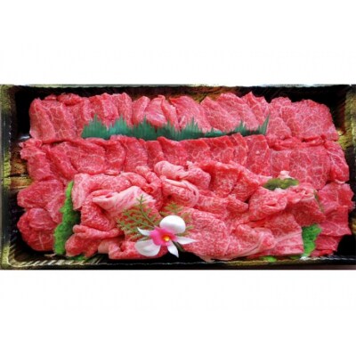 小田切牧場 信州プレミアム牛特選 焼肉セット(500g)