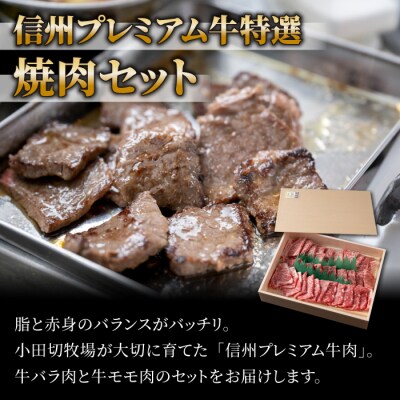 【信州プレミアム牛】特選 焼肉セット(500g) | 【小田切牧場】