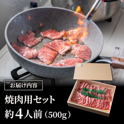 【信州プレミアム牛】特選 焼肉セット(500g) | 【小田切牧場】