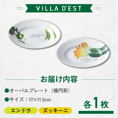 【お皿】オーバルプレート(楕円形)2枚(エンドウとズッキーニ)セット|ヴィラデストワイナリー 