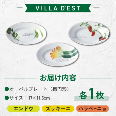 【お皿】オーバルプレート(楕円形)3枚(エンドウとズッキーニとハラペーニョ)セット|ヴィラデストワイ