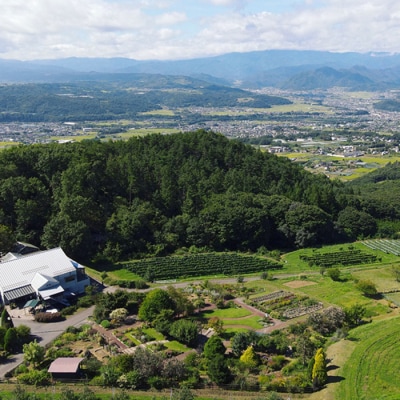 【ヴィラデストワイナリー】ベジタブルシリーズ食器　オーバルプレート(楕円形)3枚セット