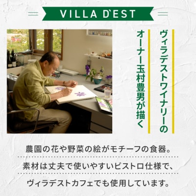 【ヴィラデストワイナリー】ベジタブルシリーズ食器　ディナープレート2枚(エンドウとズッキーニ)セット