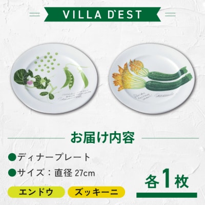 【ヴィラデストワイナリー】ベジタブルシリーズ食器　ディナープレート2枚(エンドウとズッキーニ)セット