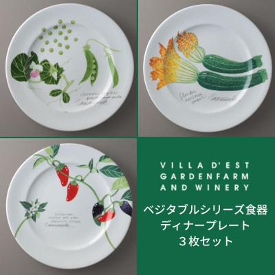 【ヴィラデストワイナリー】ベジタブルシリーズ食器　ディナープレート3枚セット