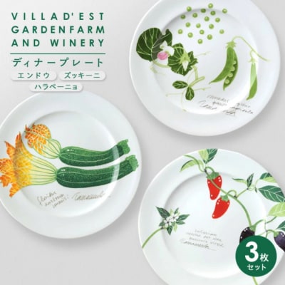 【ヴィラデストワイナリー】ベジタブルシリーズ食器　ディナープレート3枚セット