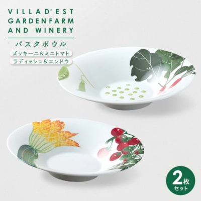【ヴィラデストワイナリー】ベジタブルシリーズ食器　パスタボウル2枚セット
