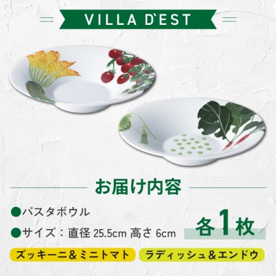【パスタ皿】パスタボウル2枚(ズッキーニ&ミニトマトとラディッシュ&エンドウ)セット