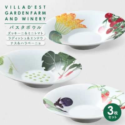 【ヴィラデストワイナリー】ベジタブルシリーズ食器　パスタボウル3枚セット