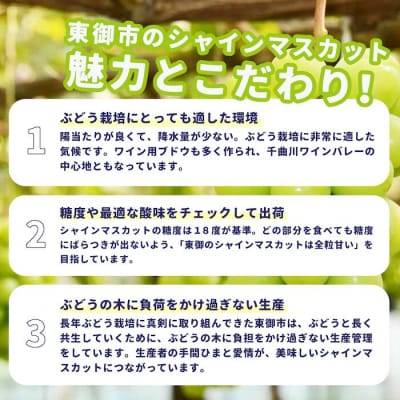 【先行受付2026年発送】東御市産シャインマスカット2房【秋お届け】
