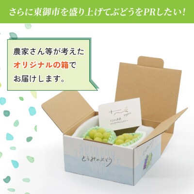 【先行受付2026年発送】東御市産シャインマスカット2房【秋お届け】