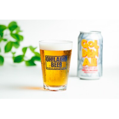 【4回定期便】ゴールデンエール10本 クラフトビール|オラホビール