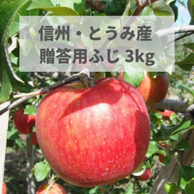 東御市産りんご 約3kg(ふじ) ※11月下旬～12月中旬頃に順次発送予定