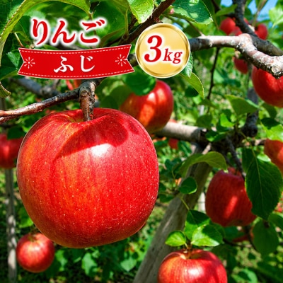 りんご 約3kg(ふじ) |JA信州うえだ農業協同組合 長野県 東御市産 ※11月下旬～12月中旬頃