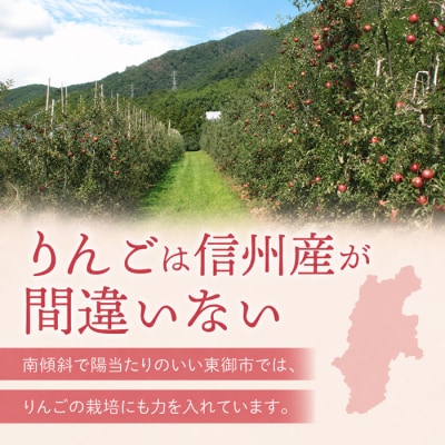 りんご 約3kg(ふじ) |JA信州うえだ農業協同組合 長野県 東御市産 ※11月下旬～12月中旬頃