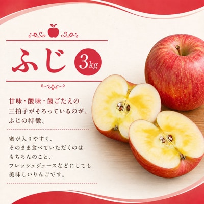 りんご 約3kg(ふじ) |JA信州うえだ農業協同組合 長野県 東御市産 ※11月下旬～12月中旬頃