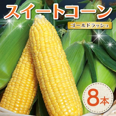 【先行受付2025年発送】東御市産とうもろこし8本|スイートコーン(ゴールドラッシュ)