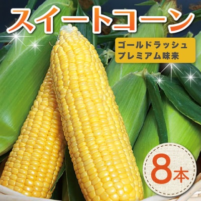 【先行受付2026年発送】長野県産とうもろこし8本|フルーツみたいなイエロースイートコーン