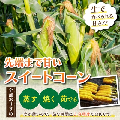 【先行受付2026年発送】東御市産とうもろこし8本|フルーツみたいなイエロースイートコーン