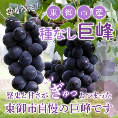 東御市産種なし巨峰約2kg【秋お届け】