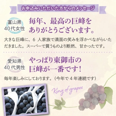 東御市産 種なし巨峰約2kg(4～5房)【秋お届け】