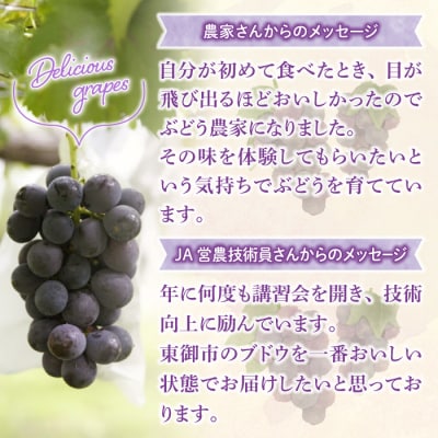 東御市産種なし巨峰約2kg【秋お届け】