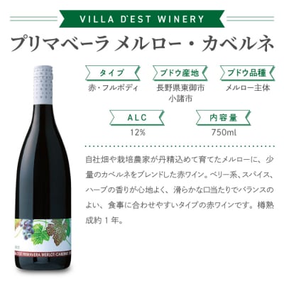 日本ワインコンクール受賞!東御市産ワイン 赤白2本セット(ヴィラデストワイナリー)