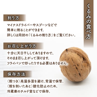 殻つきくるみ約1.4kg(2026年収穫分)|JA信州うえだ東部地区営農課