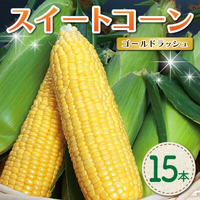 【先行受付2025年発送】東御市産とうもろこし15本|スイートコーン(ゴールドラッシュ)