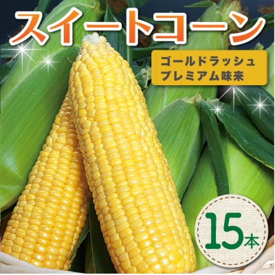 【先行受付2026年発送】長野県産とうもろこし15本|フルーツみたいなイエロースイートコーン