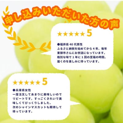 【先行受付2025年発送】東御市産シャインマスカット3kg(5～6房)【秋お届け】 