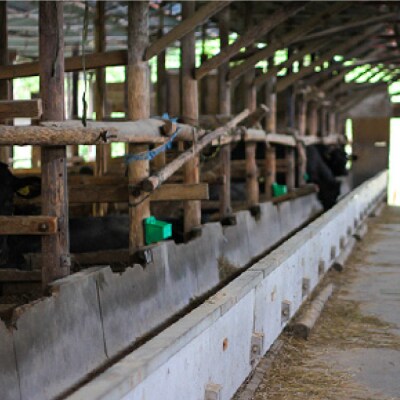 峯村牛 生ハンバーグ5個セット【牧舎みねむら】