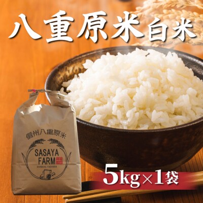 令和8年新米受付!八重原米 白米【5kg】(5kg×1袋)　※2026年10月以降順次発送|笹屋農園