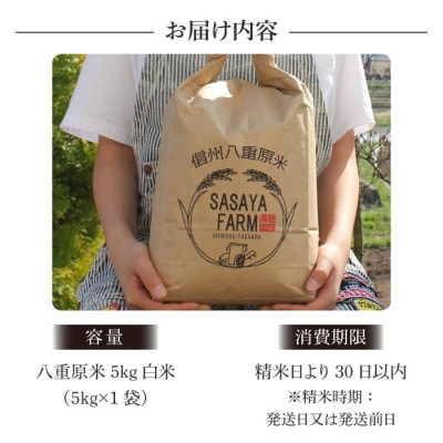 令和7年新米受付!八重原米 白米【5kg】(5kg×1袋)　※2025年10月以降順次発送|笹屋農園