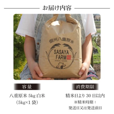 令和8年新米受付!八重原米 白米【5kg】(5kg×1袋)　※2026年10月以降順次発送|笹屋農園