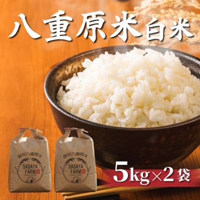 令和8年新米受付!八重原米 白米【10kg】(5kg×2袋)※2026年10月以降順次発送|笹屋農園
