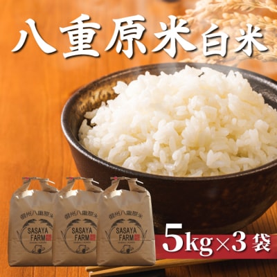 令和8年新米受付!八重原米 白米【15kg】(5kg×3袋)※2026年10月以降順次発送|笹屋農園