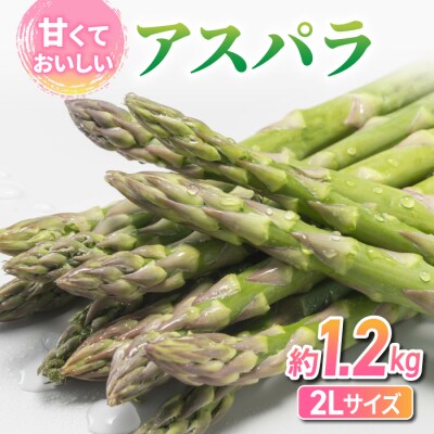 【先行受付2025年発送】東御市産 アスパラガス 約1.2kg