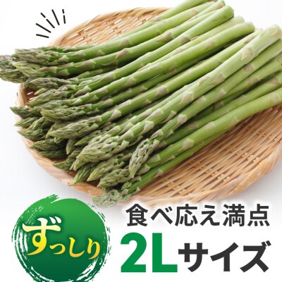 【先行受付2025年発送】東御市産 アスパラガス 約1.2kg