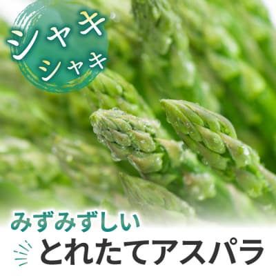 【先行受付2025年発送】東御市産 アスパラガス 約1.2kg