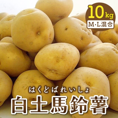 【先行受付2026年発送】東御市産白土馬鈴薯約10kg ※2026年8～12月お届け